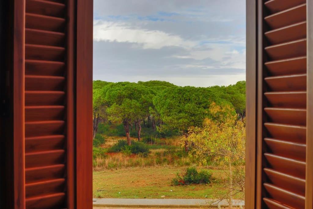Precioso Apartamento A 700 M Del Mar 치클라나 데 라 프론테라 외부 사진
